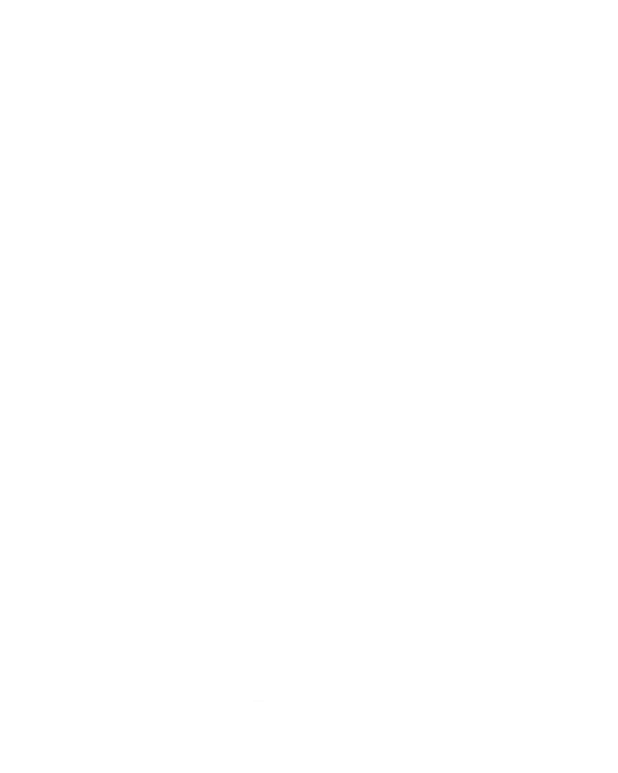 Caçador